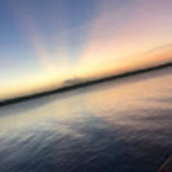 Meet your Posher, Tamika - Picture 1 of 1